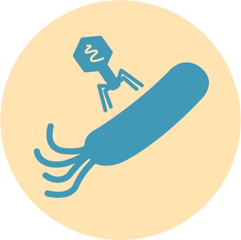 Bacteriophage_Blue