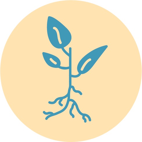 Plant_Blue